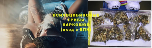 бошки Горно-Алтайск