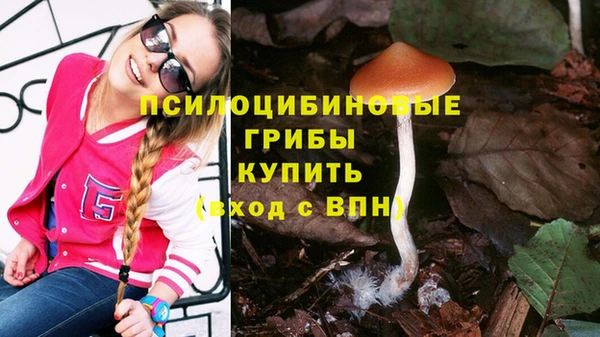 бошки Горно-Алтайск