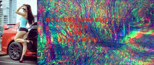 mdpv Горняк