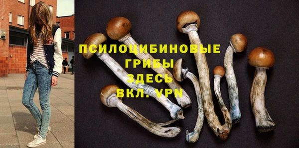 mdpv Вязьма